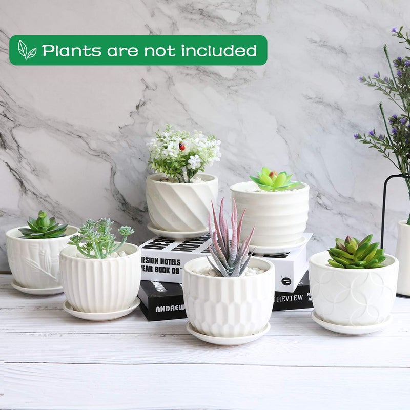 Brajttt Flower Pots, 4 Inch Cylinder Ceramic Plant Pots with Connected Saucer, Mini Ceramic Planters for Succulent and Little Snake Plants (6 Pack, White) - Image 5
